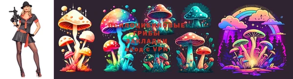 сатива Ижевск