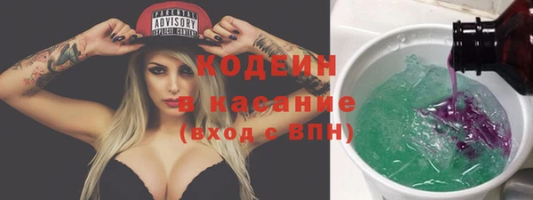 индика Барнаул