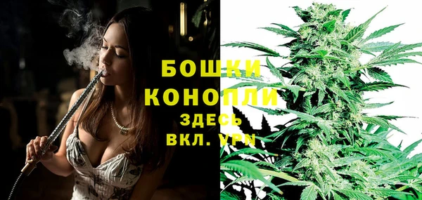 дживик Пенза