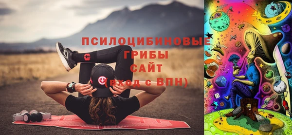 дживик Пенза