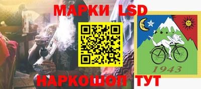 спайс Берёзовский