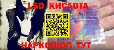 спайс Берёзовский