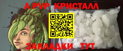 спайс Берёзовский