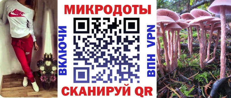 Псилоцибиновые грибы Psilocybe  купить закладку  Дмитров 