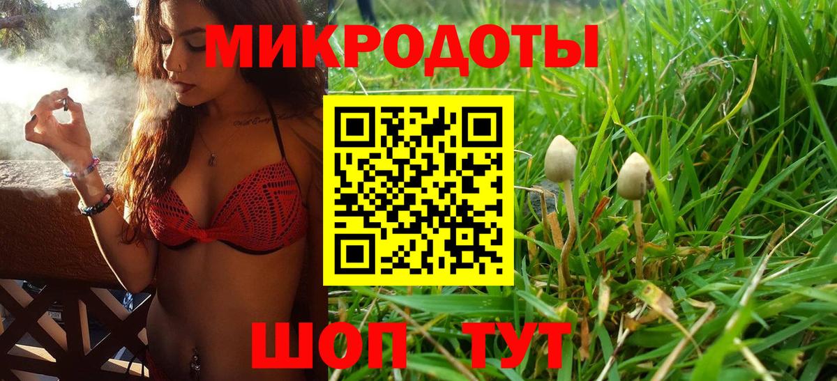 Галлюциногенные грибы прущие грибы Дмитров